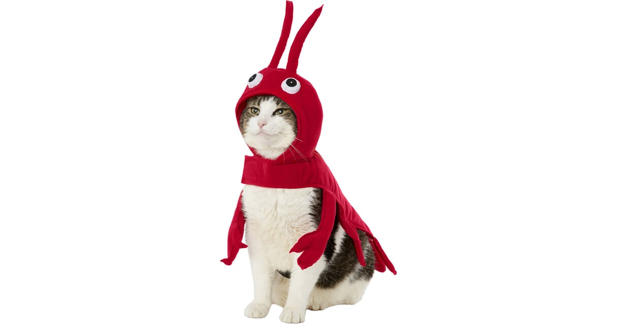 Frisco Red Lobster Cat Costume Best Costumes For Cats POPSUGAR UK