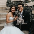 A Cat Was the Best Man at His Human Parents' Wedding, and I've Never Been More Jealous