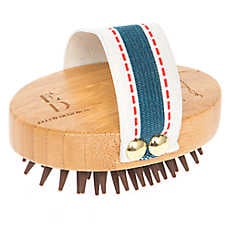 Palm Curry Dog Brush