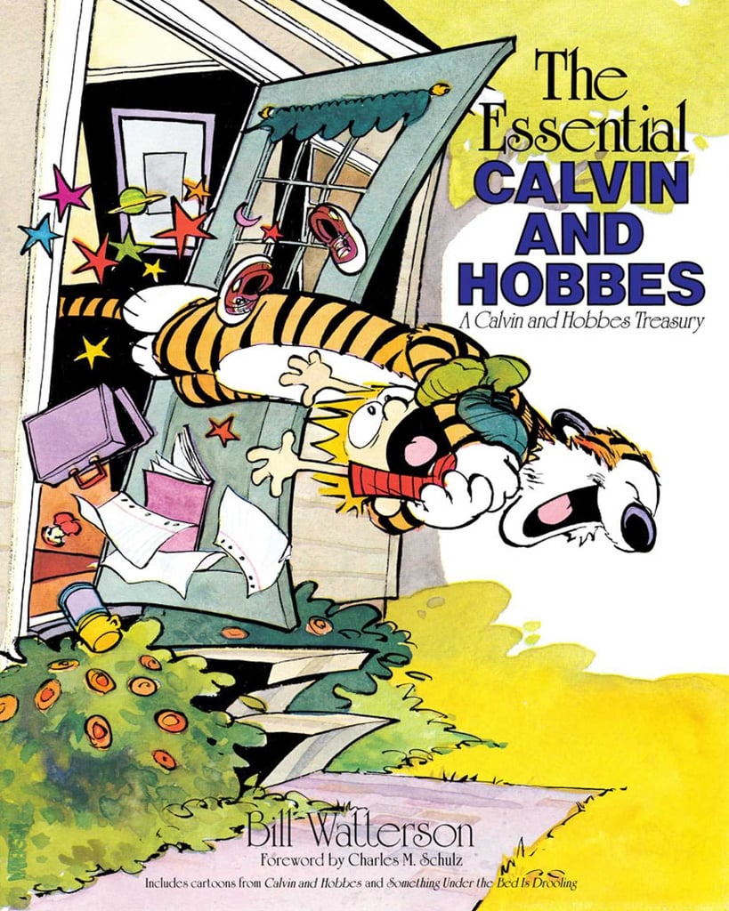 Calvin And Hobbes Nostalgic Books About Friendship Popsugar Love 