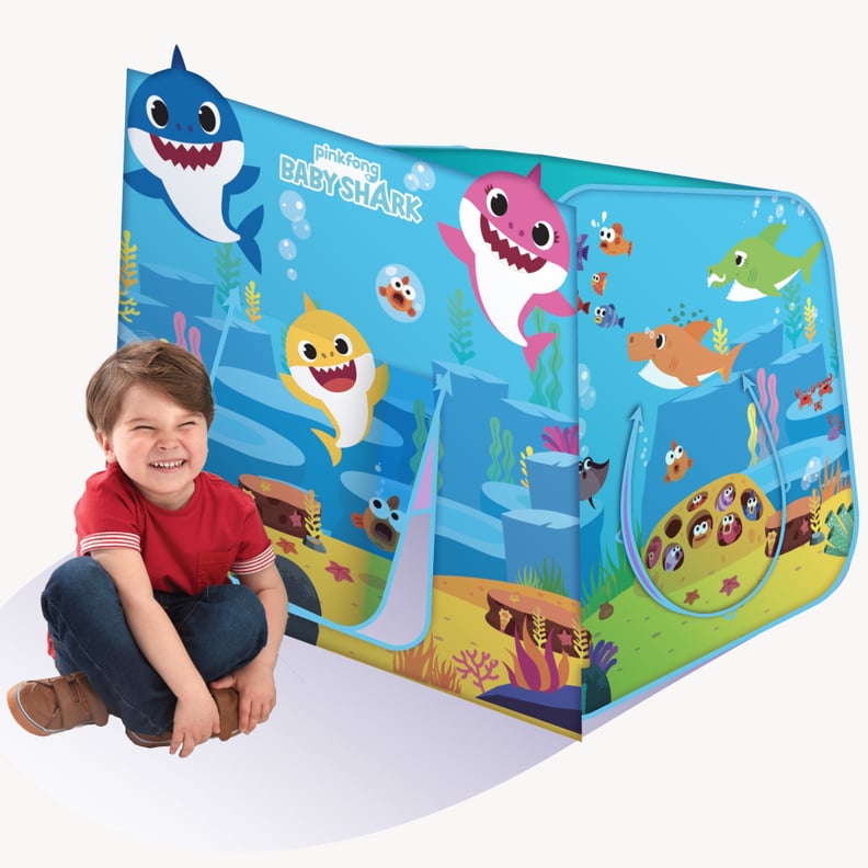 Baby Shark Hide N Play Structure
