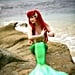 Disney Princess Cosplays