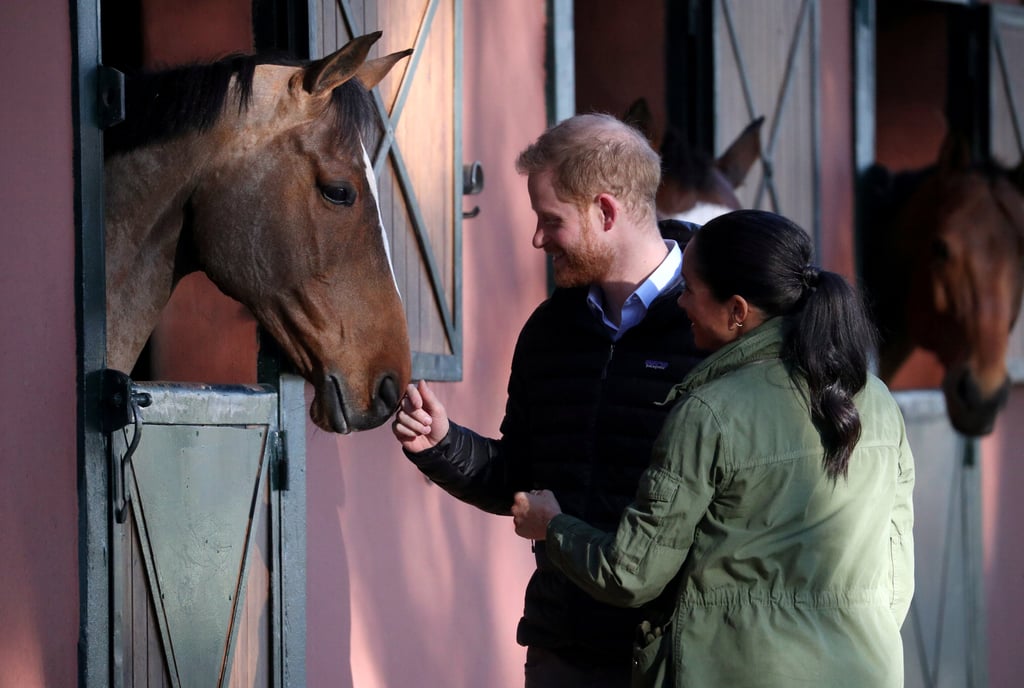 Meghan and Harry With Horses on Morocco Tour February 2019