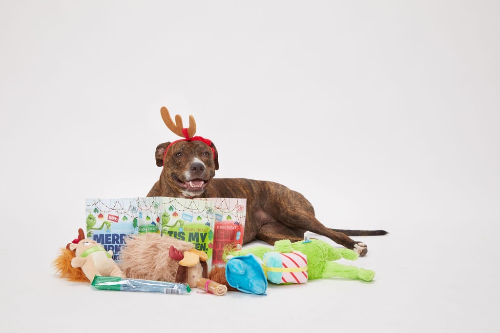 BarkBox Best Gifts For PetLovers POPSUGAR Family Photo 5