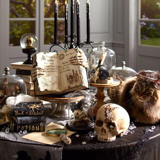 Halloween Decorations From Pier 1 Imports