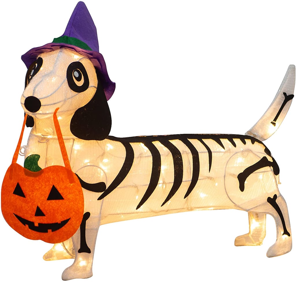 Pre-lit 25.5" Long Skeleton Dog with Witch Hat