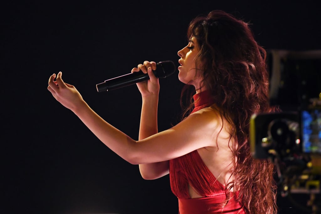 Camila Cabello and Shawn Mendes 2019 AMAs Performance Video