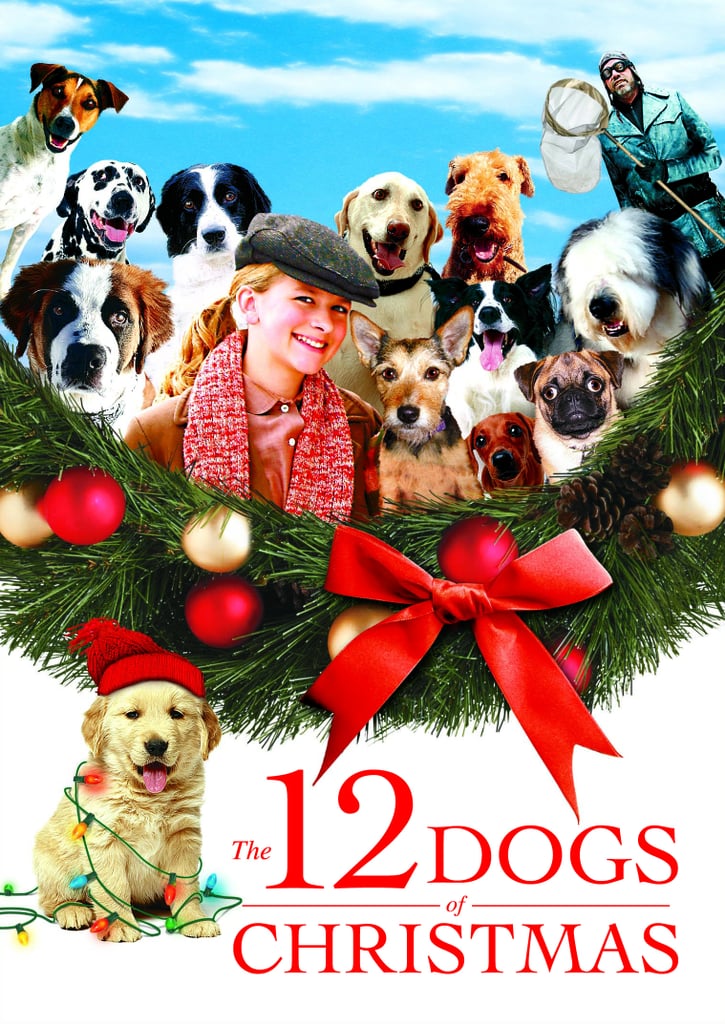 Snow Dogs Film Izle