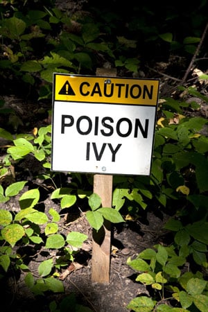 Baking Soda Relieves Itch Of Poison Ivy Poison Oak And Poison Sumac Popsugar Fitness