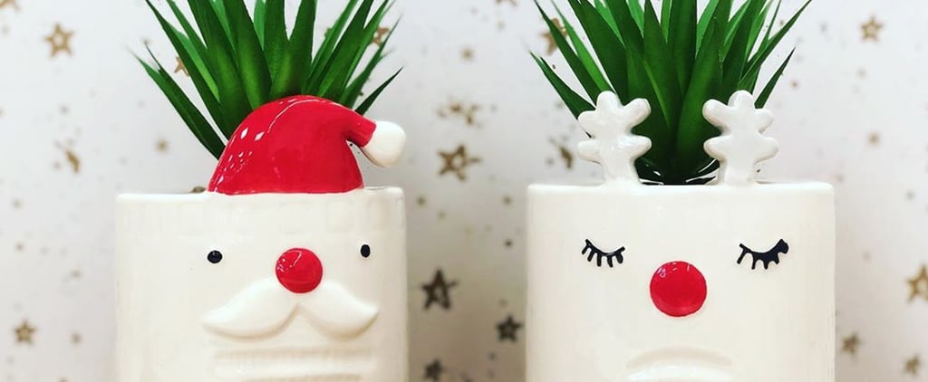 Target Australia Is Selling Adorable Christmas Succulents