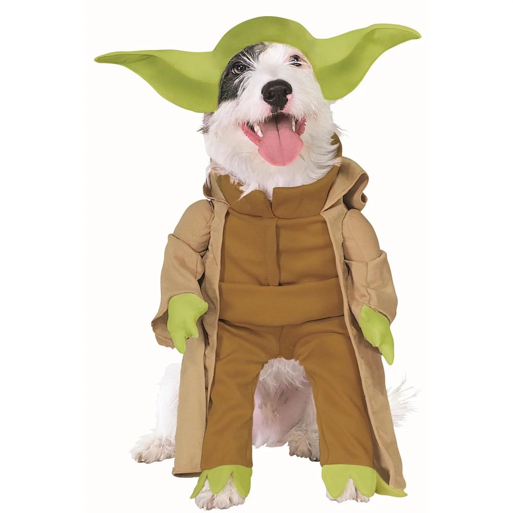 A Yoda Costume For Your Dog: Star Wars Yoda Dog Costume