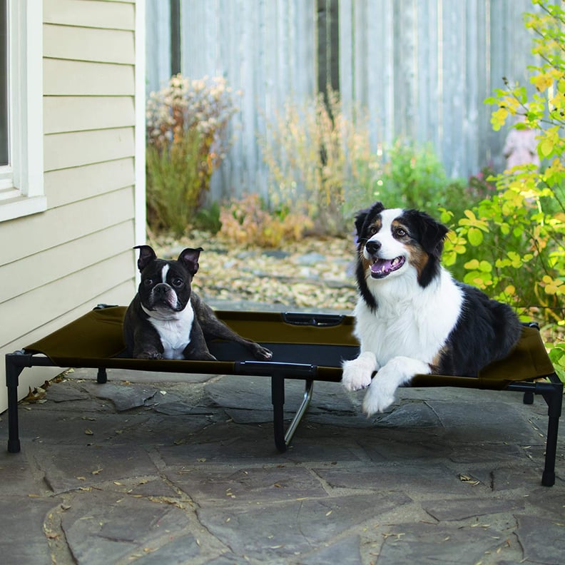 Elevated Pet Bed