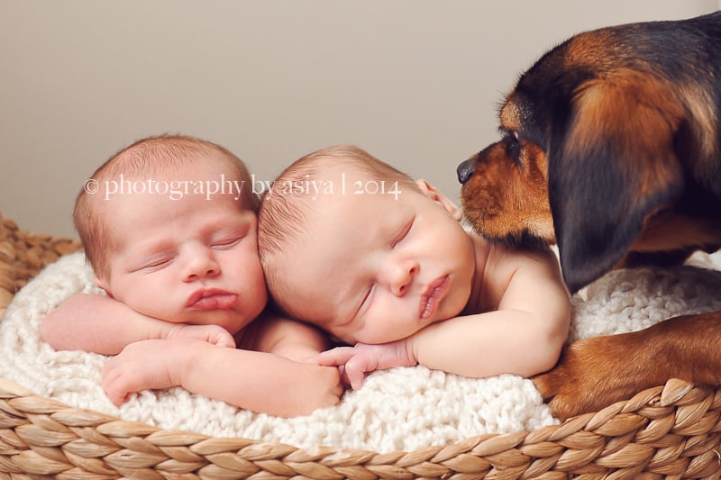 Newborn Twin Photo Ideas
