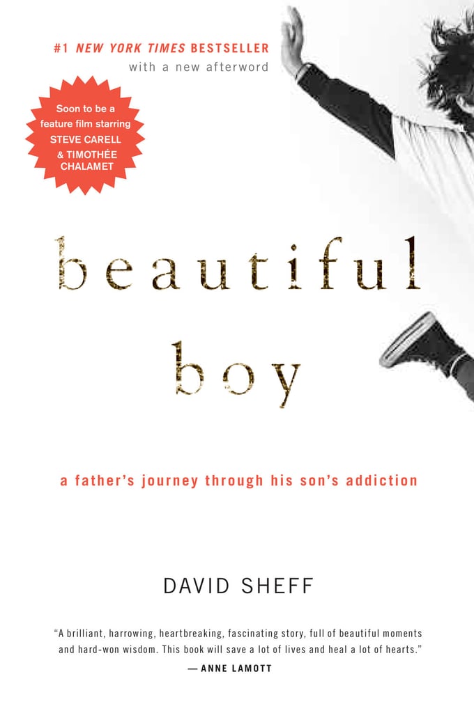 Beautiful Boy by David Sheff