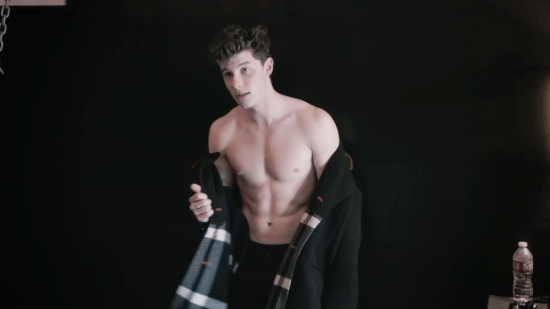 Shawn Mendes Shirtless For Flaunt Magazine Dec. 2016
