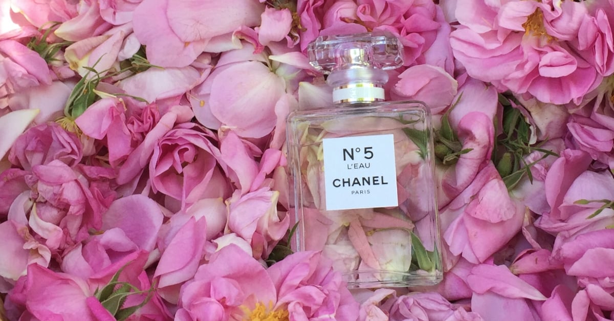 Take a virtual tour of the Chanel flower fields in Grasse, France