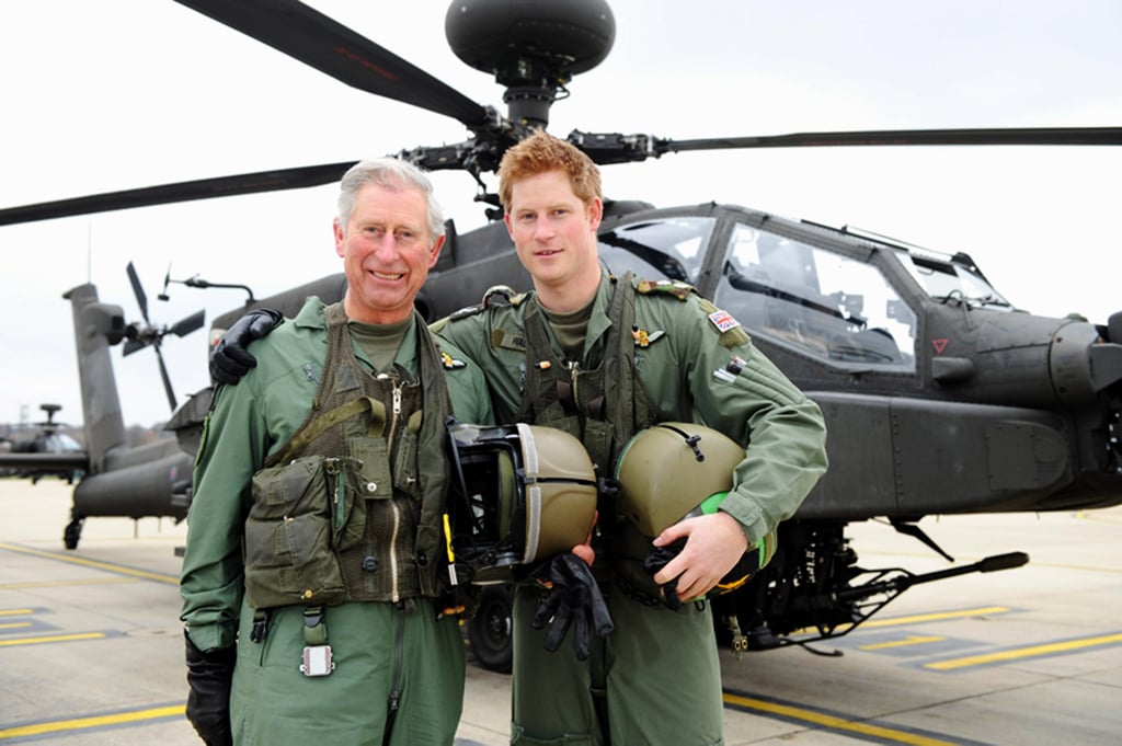 Prince Harry and Prince Charles Pictures