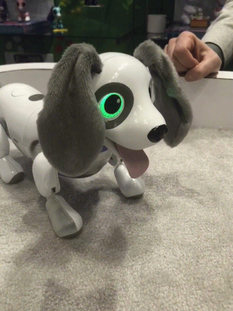 Zoomer playful 2025 pup target