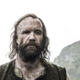 Will the Long-Awaited Cleganebowl Ever Happen on Game of Thrones? Here's What We Know