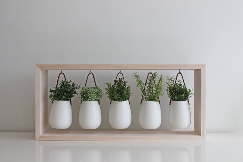 Indoor Herb Garden