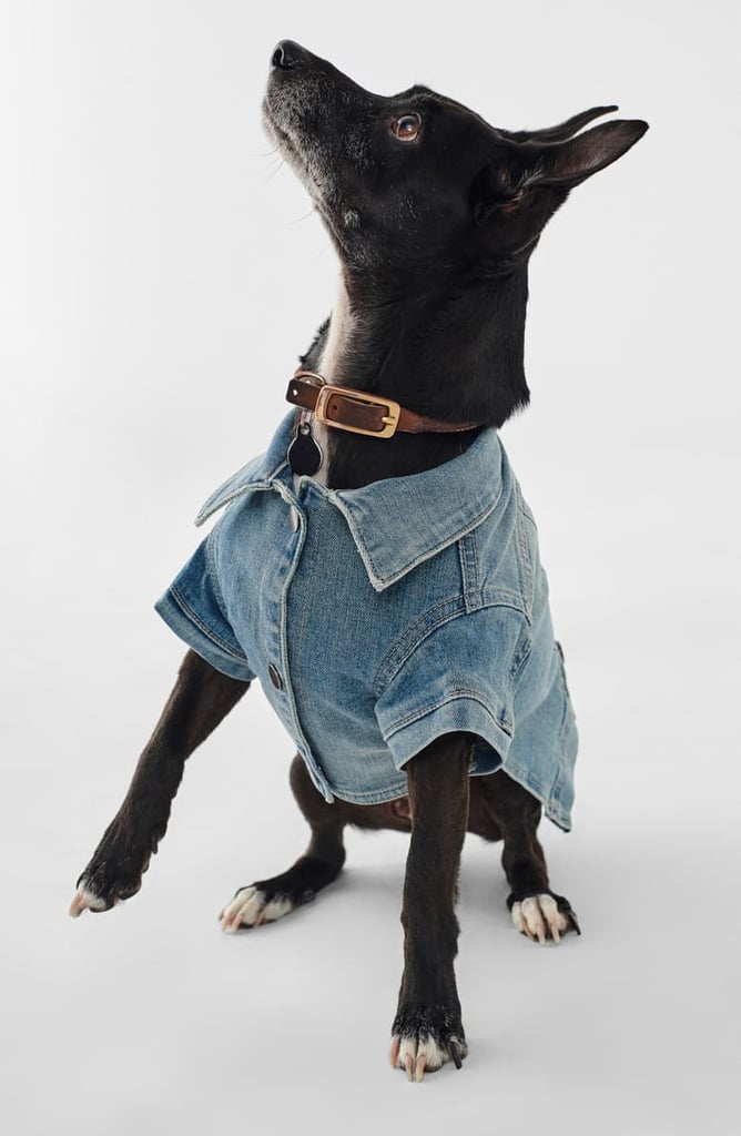 Fido Canine Trucker Jacket