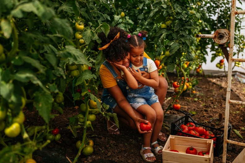 Black mother and daughter picking homegrown vegetables in their garden for healthy eating.