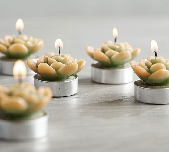 Succulent Candle Tea Lights
