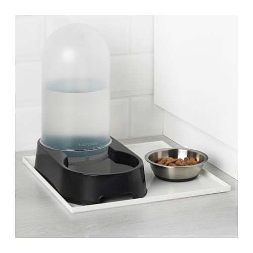 Place Mat ($3), Water Dispenser ($8), and Stainless Steel Bowl ($4)