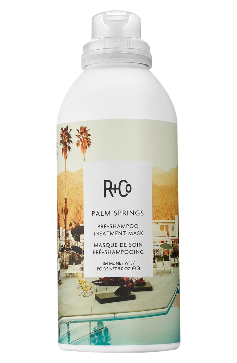 R+Co Palm Springs Pre-Shampoo Treatment Mask