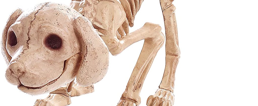 Dog-Skeleton Halloween Decor