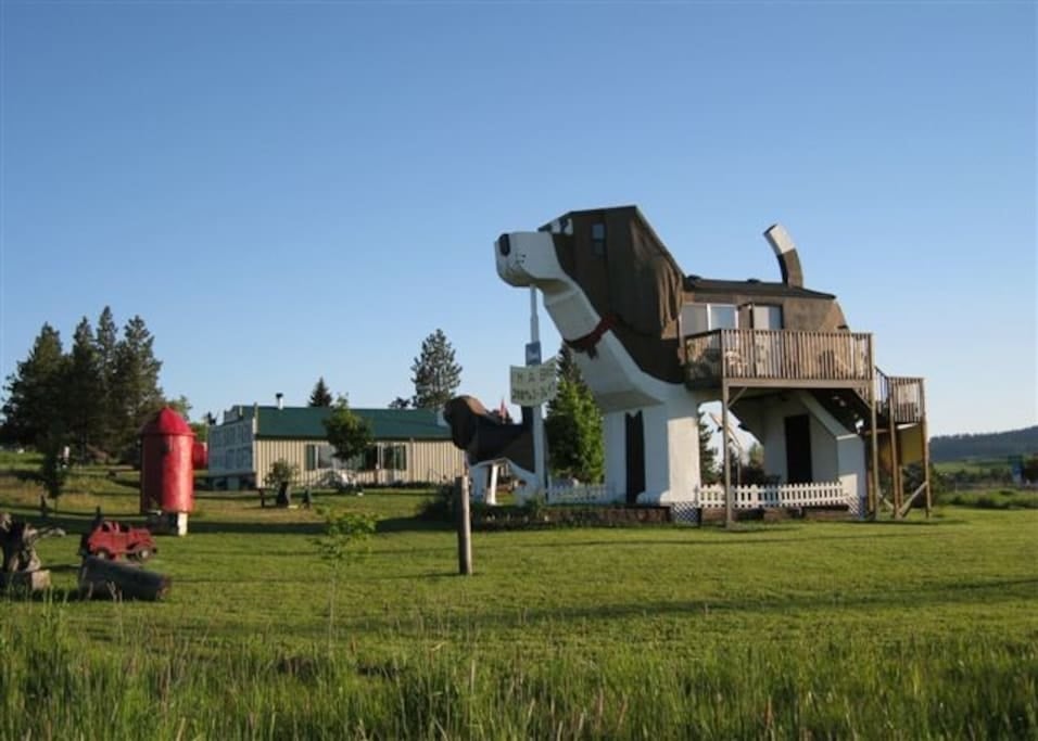 two-bedroom dog house