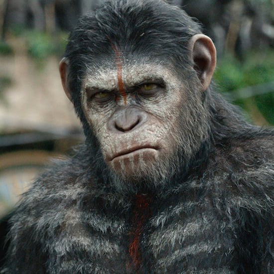 Dawn of the Planet of the Apes Pictures