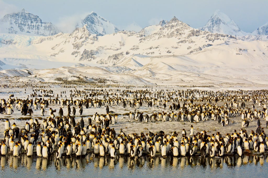 Peaks and Penguins in Antarctic Sunrise