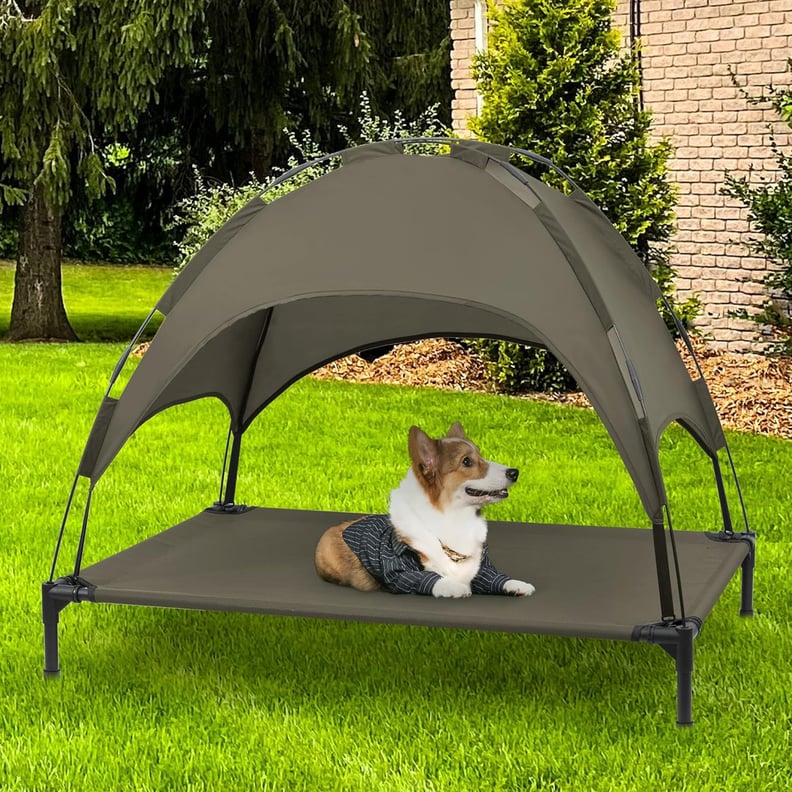 Best Elevated Dog Bed With Canopy