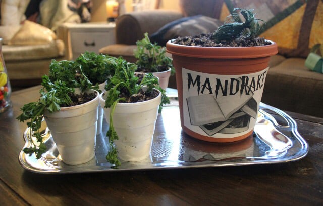 Homemade Mandrakes! The big one is an actual cake made of chocolate pudding and cookie crumbs.