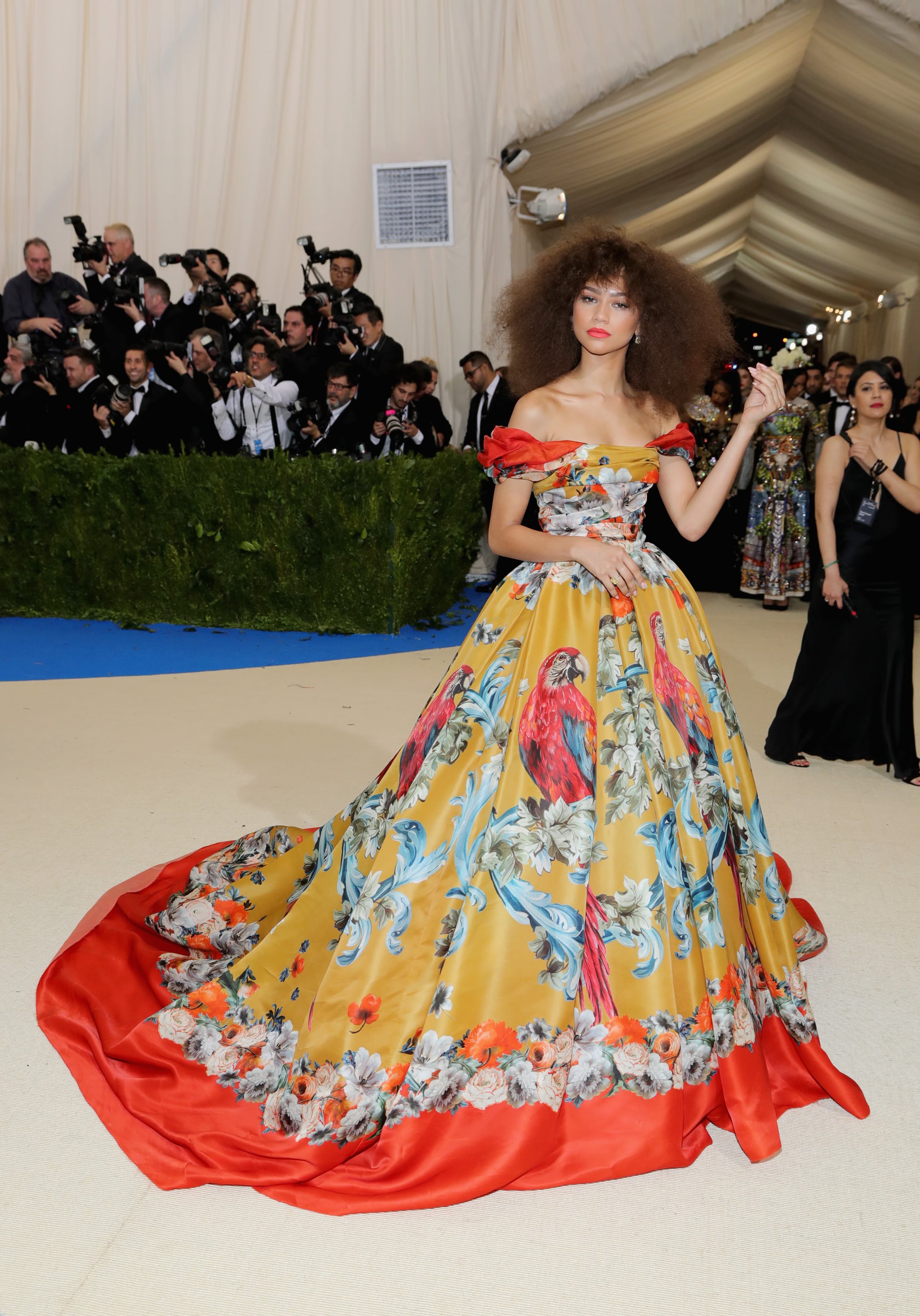 Zendaya's Dolce & Gabbana Dress at the Met Gala 2017 | POPSUGAR Fashion