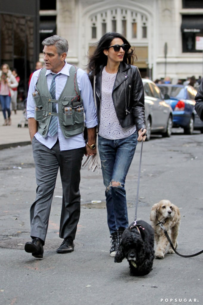 Amal Alamuddin Visits George Clooney on Set With His Dog