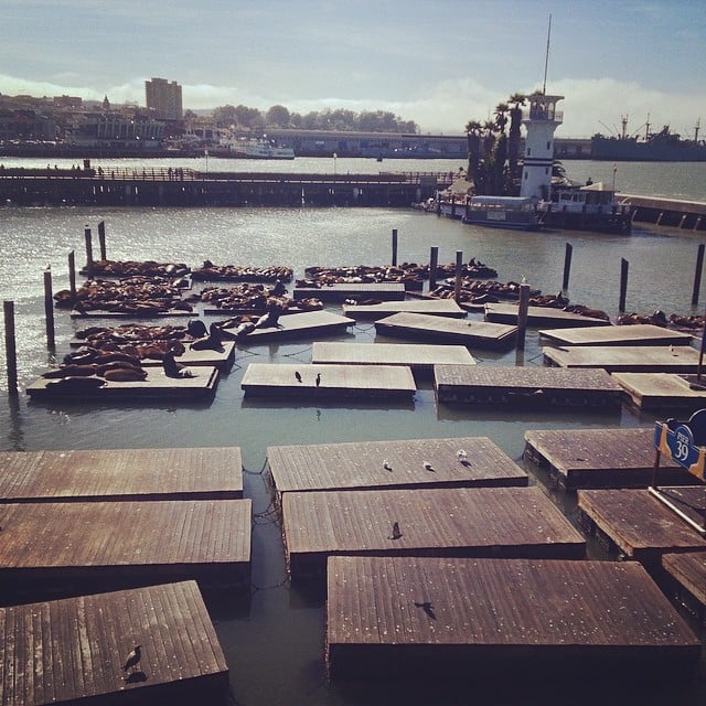 Visit Pier 39