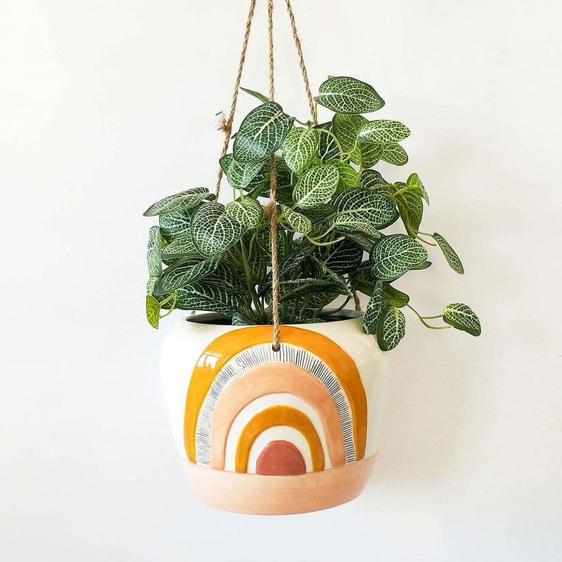 Urban Rainbow Hanging Indoor Planter