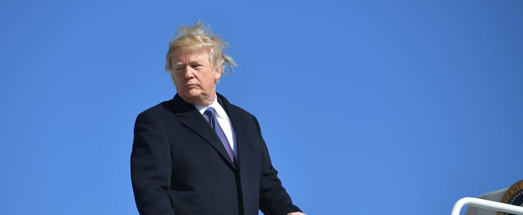 Is Trump's Hair Real?