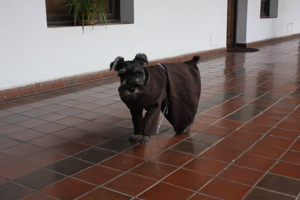 Dog Adopted by Monastery in Bolivia