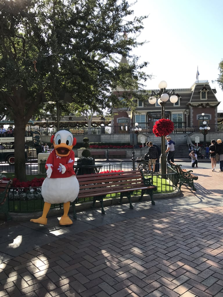 All of Your Favorite Characters Are Dressed in Their Holiday Best!