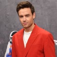 Liam Payne's Son, Bear, Has an Ear For Music — He's Already Listening to His Dad's Songs!