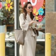 Angelina Jolie's Tote Is 1 We've Been Considering, but Now We're Definitely Going to Buy It