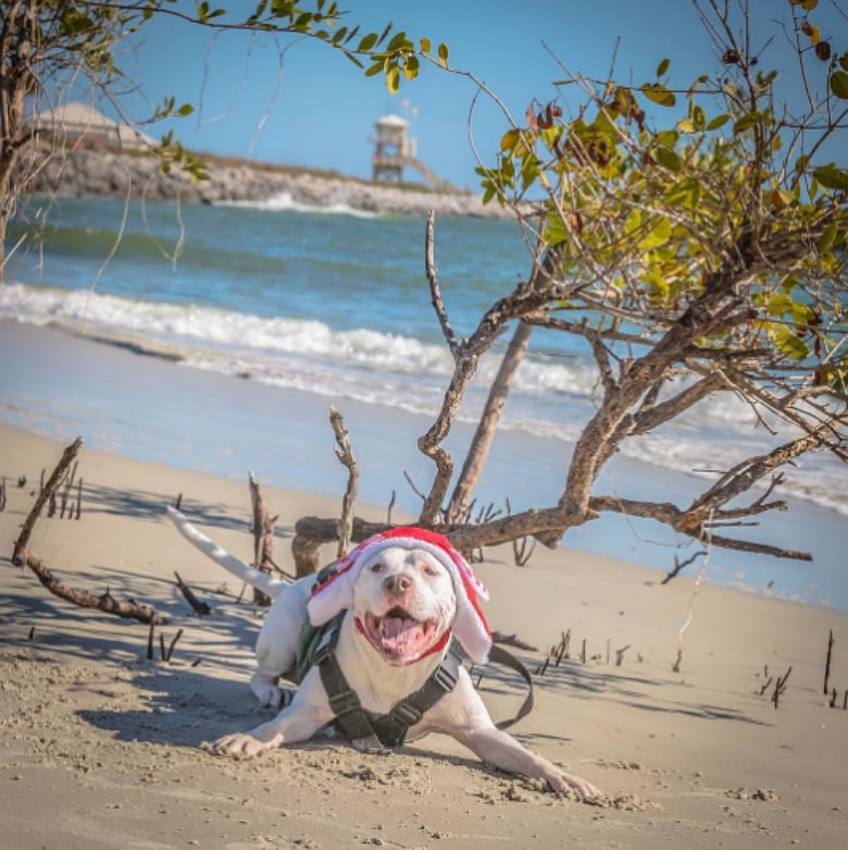 Taking in the sand at New Smyrna Beach Inlet in Florida
