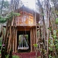 This Dreamy Tree House in Hawaii Has a Hanging Bed and a Real Trapdoor