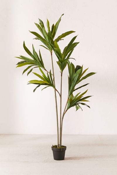 Dracena Potted Faux Tree