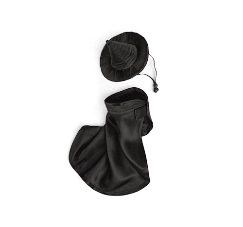 Petco Halloween Costumes: Witch