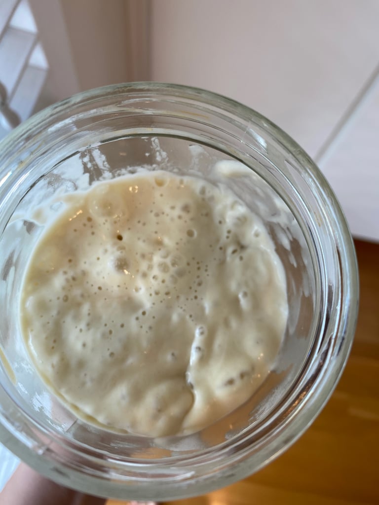 Sourdough Starter Day 12