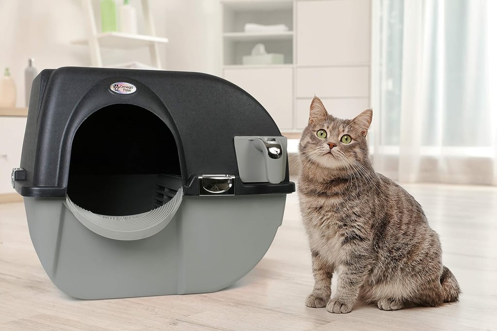 Best Self-Cleaning Litter Box Under $100